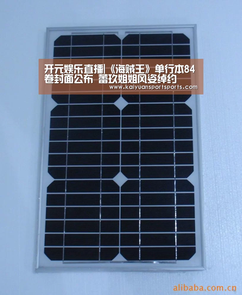 开元娱乐直播|《海贼王》单行本84卷封面公布 蕾玖姐姐风姿绰约(图1) 棋牌开元
