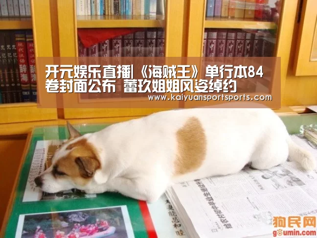 开元娱乐直播|《海贼王》单行本84卷封面公布 蕾玖姐姐风姿绰约(图2) 开元娱乐直播