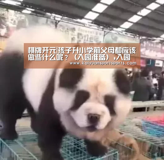 棋牌开元|孩子升小学前父母都应该做些什么呢?(入园准备),入园(图1) 棋牌开元